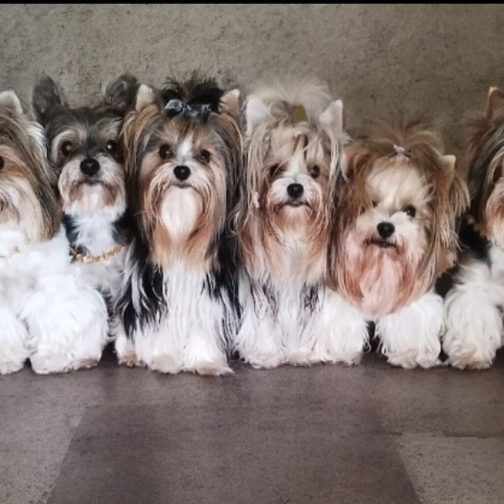 Image #2 from Karolína Malá Kašíkova