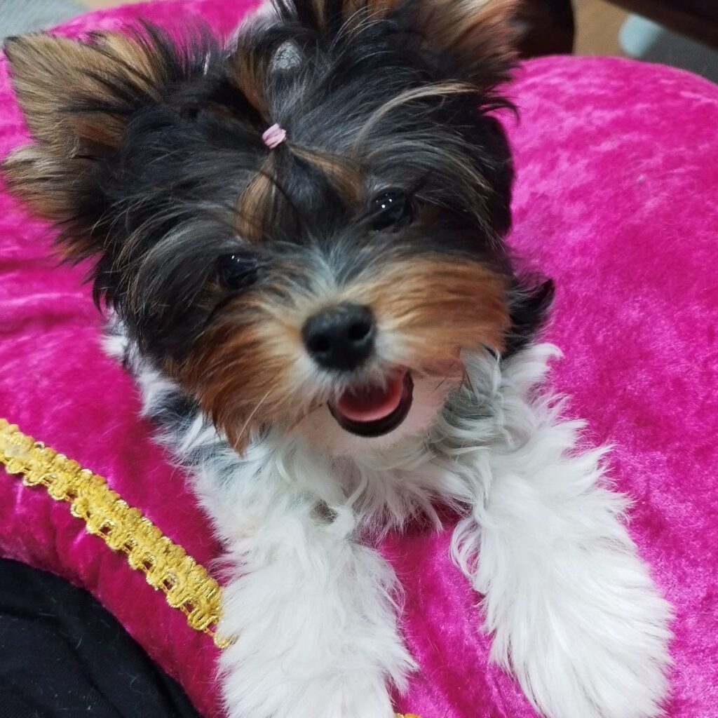 Image #2 from Karolína Malá Kašíkova