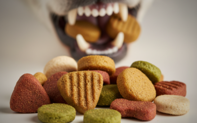 Online magazín CricksyDog 21 Textura krmiva – co zvolit podle chrupu?