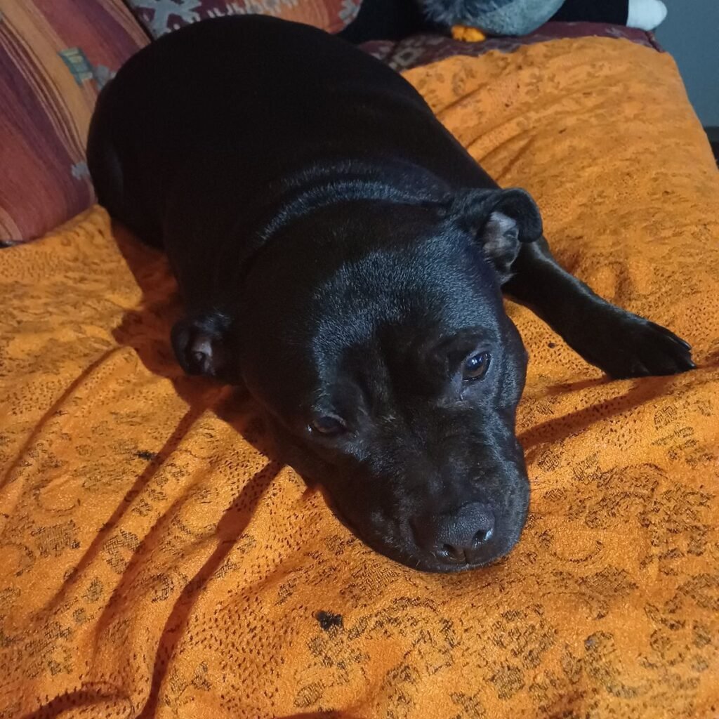 Obrázek #1 od Vaclav Brych