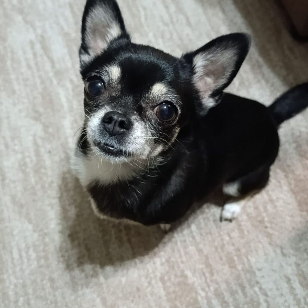 Obrázek #1 od Lenka Kolářová