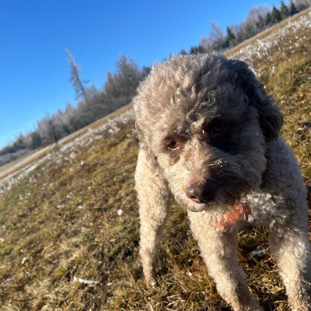 Obrázek #1 od Jana Livečková