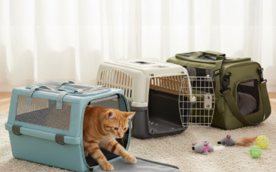 Bezpečné přepravky pro kočky – Vše, co o tom potřebuješ vědět!