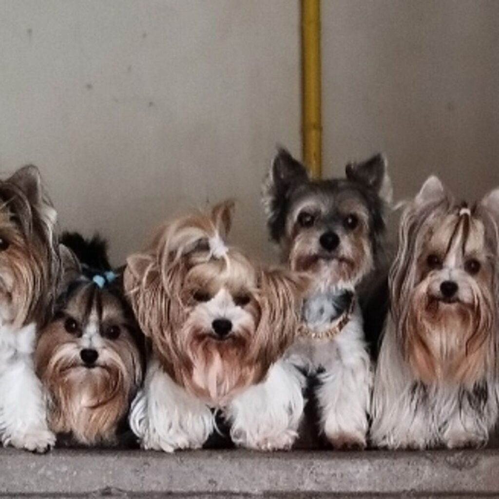 Obrázek #1 od Karolína Malá Kašíkova