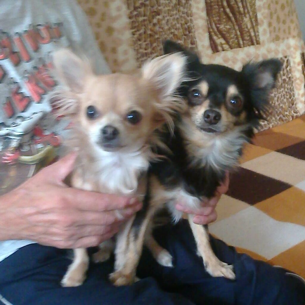 Obrázek #1 od Miroslava R.