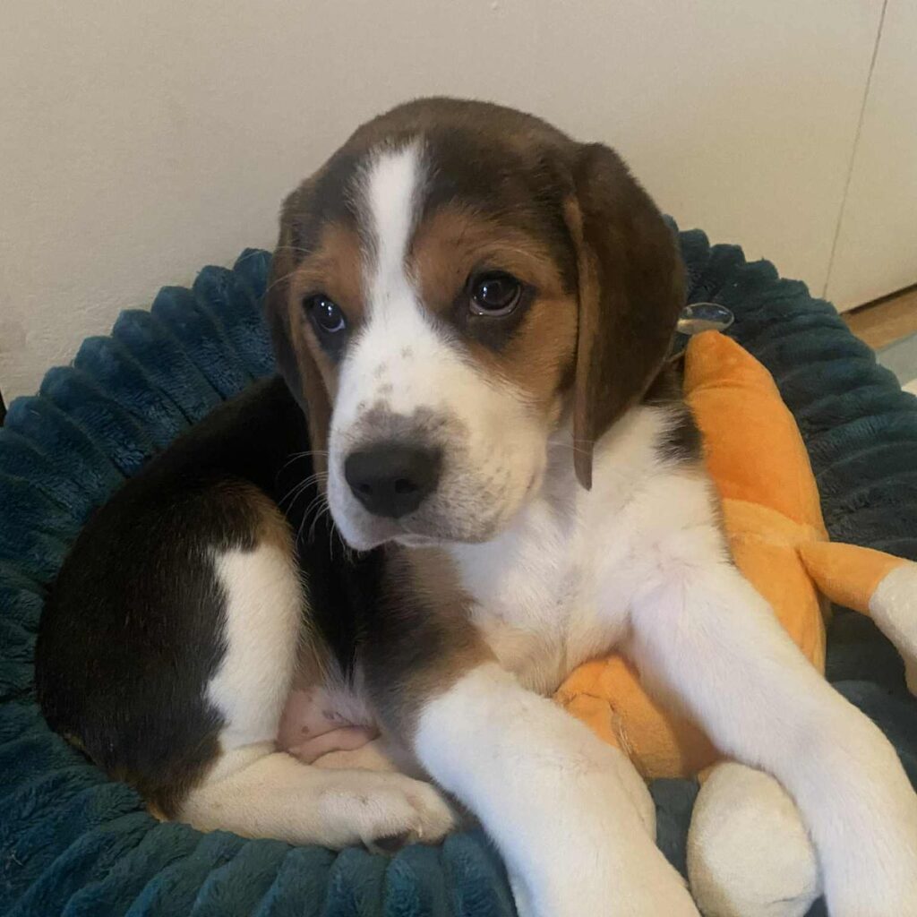 Obrázek #1 od Miluše Sitková