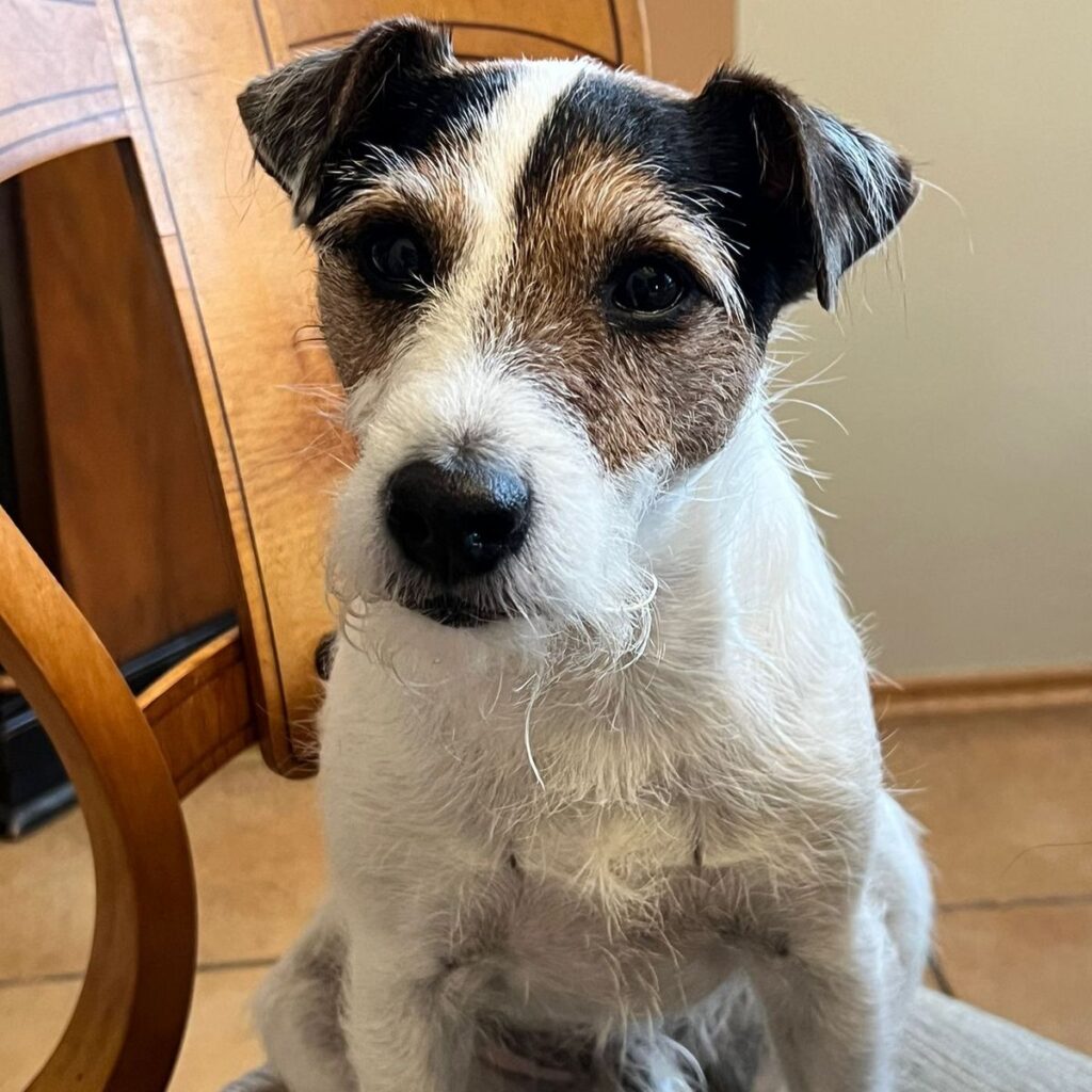 Obrázek #1 od Marcela Slámová