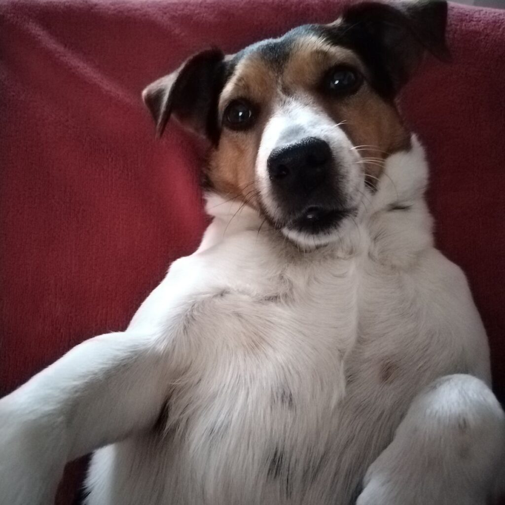 Obrázek #1 od Anonymní