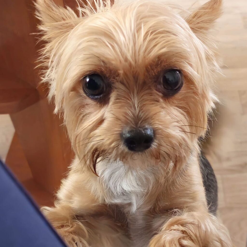 Obrázek #1 od Anonymní