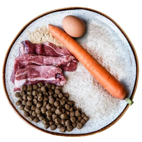cz 2025 09 CC JB