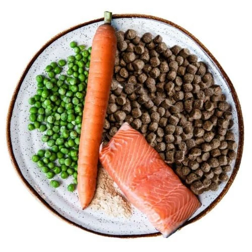 cz 2025 09 CC JHL cat food