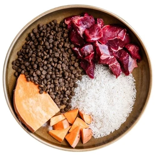 cz 2025 09 CHM dog food
