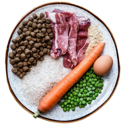 cz 2025 09 JHB dog food
