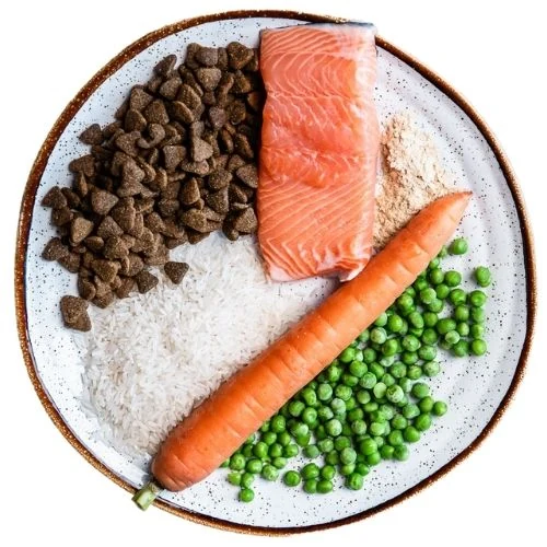 cz 2025 09 JHL dog food