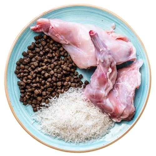 cz 2025 09 JHNY dog food