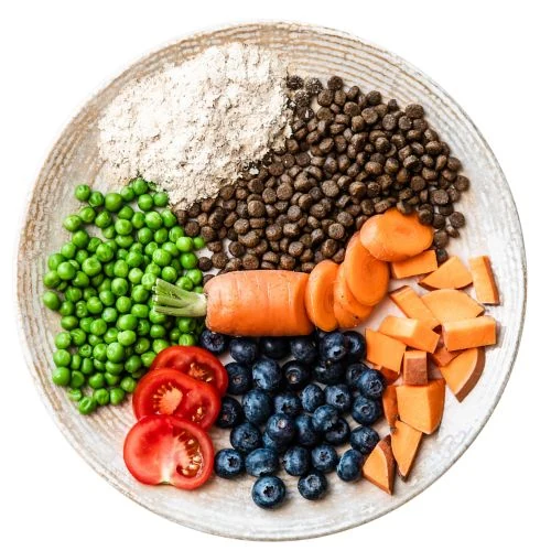 cz 2025 09 JHR dog food