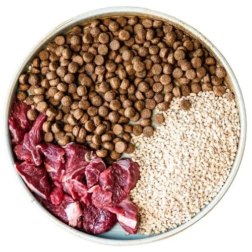 cz 2025 09 JM dog food
