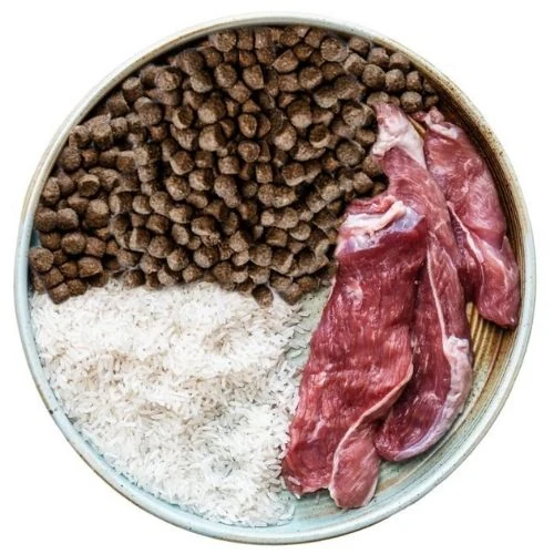 cz 2025 09 OB dog food