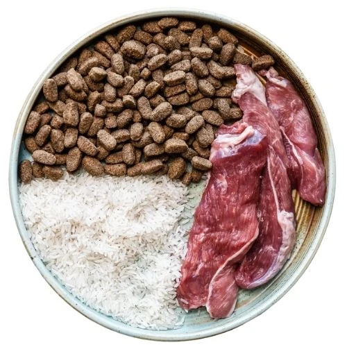cz 2025 09 TB dog food