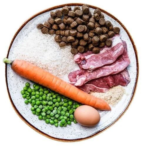 cz 2025 09 THB dog food