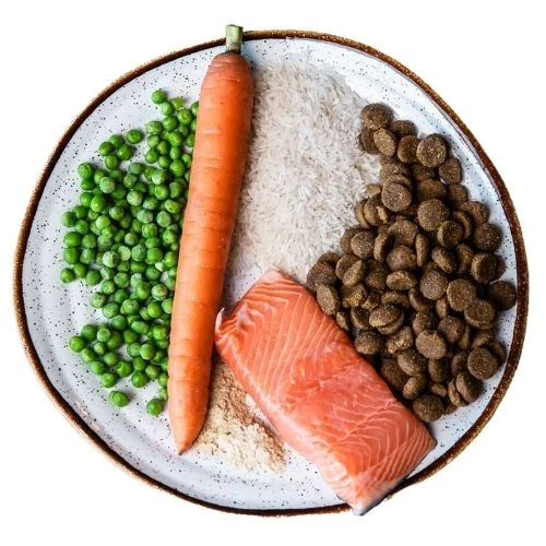 cz 2025 09 THL dog food