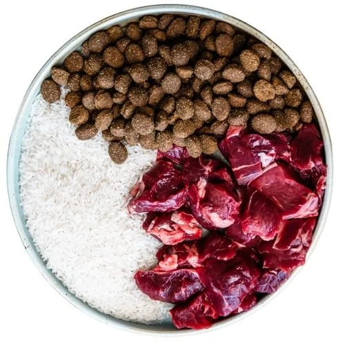 cz 2025 09 THM dog food