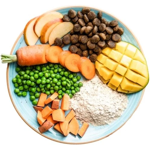 cz 2025 09 THR dog food
