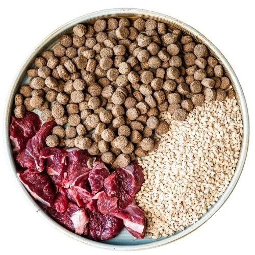 cz 2025 09 TM dog food