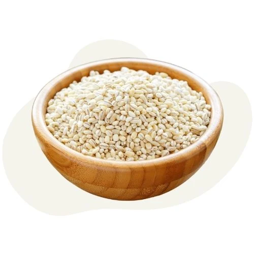 cz 2025 09 barley