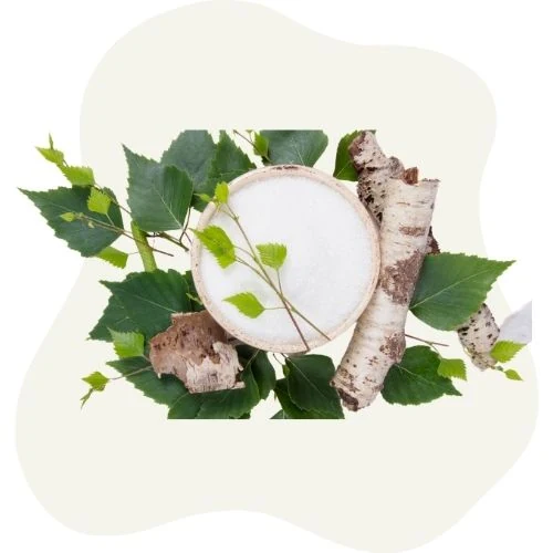 cz 2025 09 birch leaf