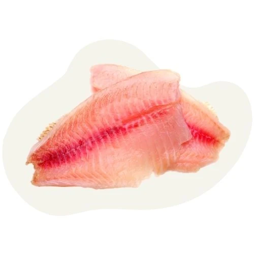 cz 2025 09 catfish