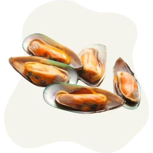 cz 2025 09 green lipped mussel