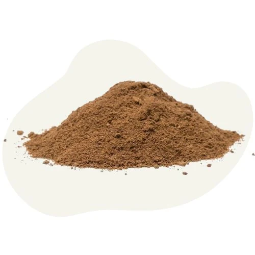 cz 2025 09 insect protein
