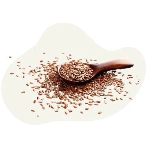 cz 2025 09 linseed