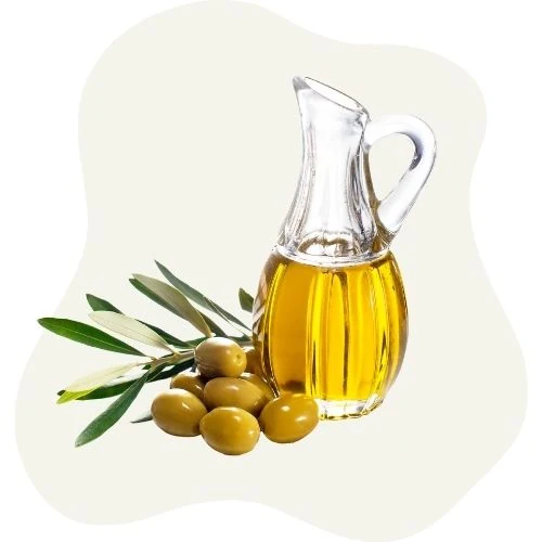 cz 2025 09 olive oil