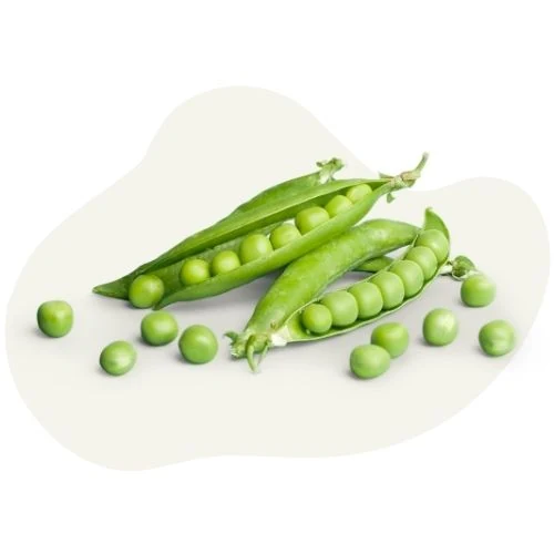 cz 2025 09 peas