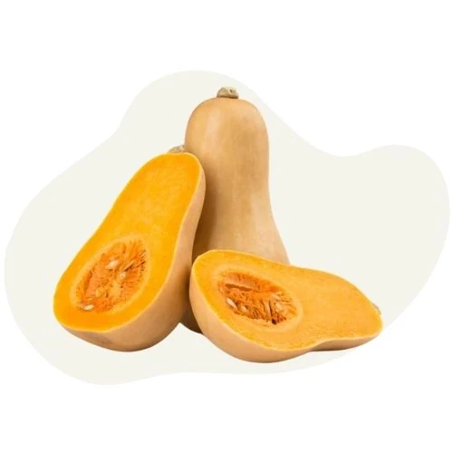 cz 2025 09 pumpkin