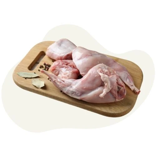 cz 2025 09 rabbit