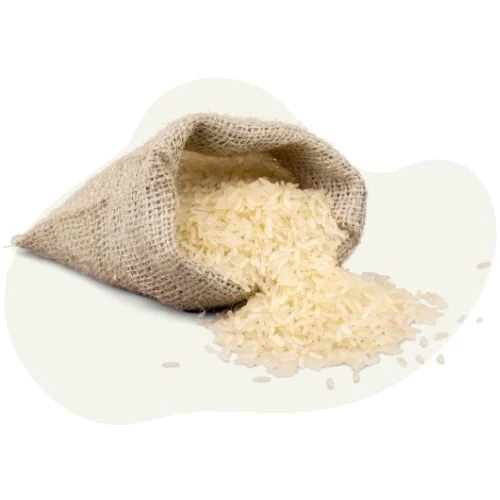 cz 2025 09 rice