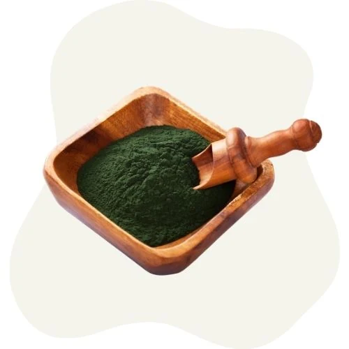 cz 2025 09 spirulina