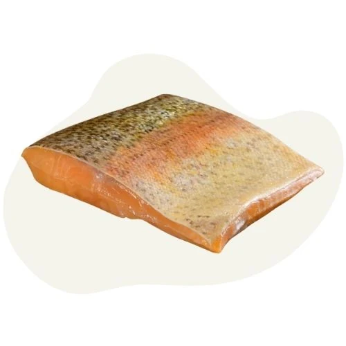 cz 2025 09 trout