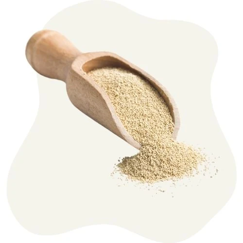 cz 2025 09 yeast