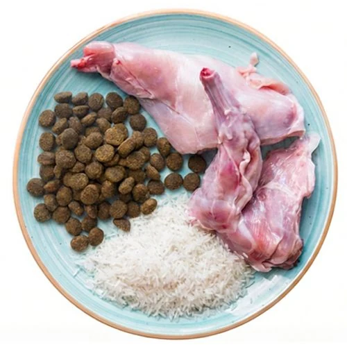 cz 2026 04 THNY dog food ingredients