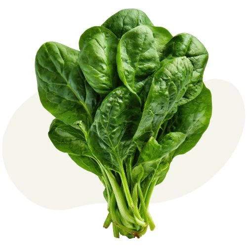 cz 2026 05 spinach